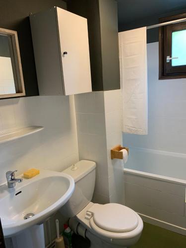 a bathroom with a white toilet and a sink at Bouquetin studio cosy in Notre-Dame-de-Bellecombe