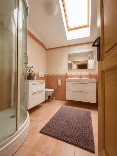 a bathroom with a shower and a sink and a mirror at Villa Sofia - dovolenkový dom pre 8 osôb in Batizovce