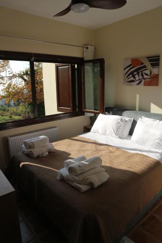 Foto Villa Elea in Milies Pelion 2