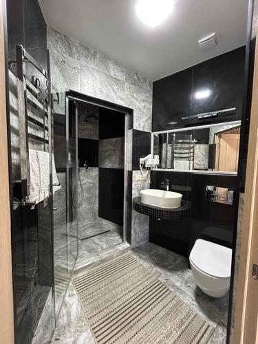 a bathroom with a shower and a toilet and a sink at Вершина in Pilipets