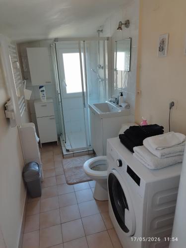 a bathroom with a toilet and a sink and a washing machine at Charmant T3 au Cœur de Grenoble in Grenoble