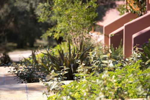 a garden with flowers and plants in front of a building at Amandola Villas in Ayia anna