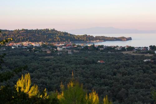 a view of a town and a body of water at Amandola Villas in Ayia anna