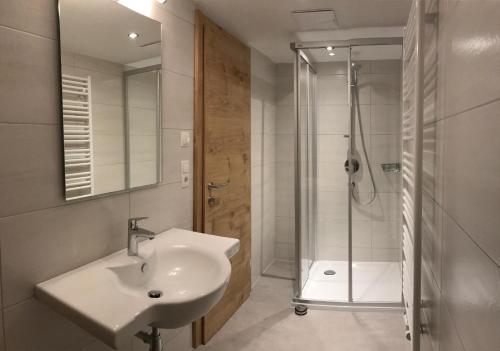 La salle de bains est pourvue d'un lavabo et d'une douche. dans l'établissement Apartment Felix, à Längenfeld