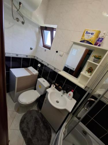 a small bathroom with a toilet and a sink at Apartman Jadran Private Parking in Dobrota