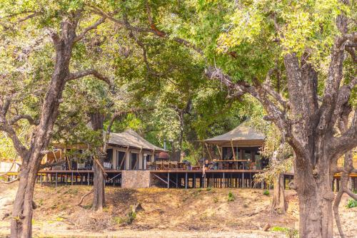 a house with a porch in the middle of trees at Painted Dogs Lagoon in Kakumbi