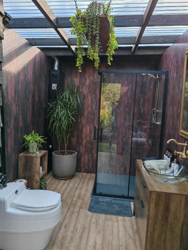 a bathroom with a toilet and a shower at The Shire Glamping in Kearsney