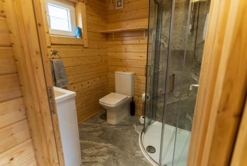 a small bathroom with a toilet and a shower at Wildwood Haven - Killorglin in Killorglin