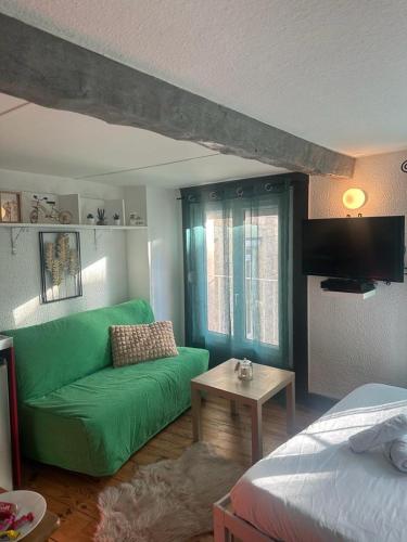 a living room with a green couch and a table at La plume d'or in Saint-Étienne