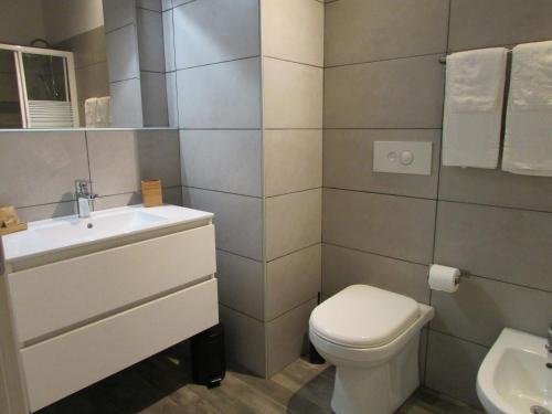 a bathroom with a toilet and a sink at Aqua Apartments Spa Housemuhlbach in Sappada