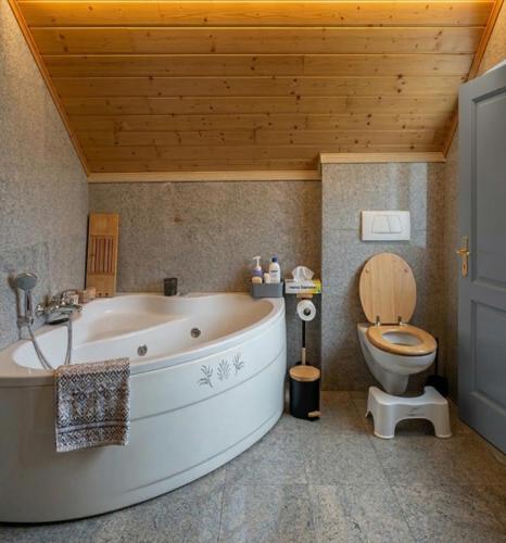 a bathroom with a tub and a toilet in it at MG Suites & Infinity in Ravels