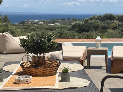 a table with a basket of plants on a patio at OliveΒayVilla in Tragaki