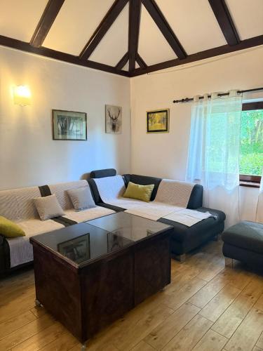 a living room with a couch and a coffee table at House on the river in Karlovac