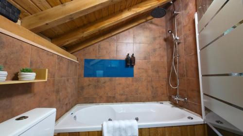 a bathroom with a tub and a shower at Moose House EV Charging Pool Gated Community in Loivos