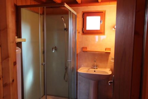 a bathroom with a shower and a sink at Chalet Thiennet in Mesples