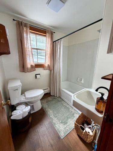 a bathroom with a toilet and a tub and a sink at Highland House and Cottages in Carroll