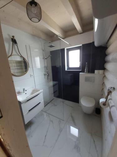 a bathroom with a toilet and a sink at Domki letniskowe Malina 4 in Gawrony