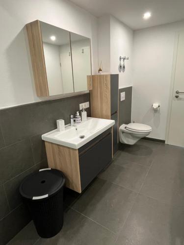 a bathroom with a sink and a toilet at Ferienwohnung in der Langenau in Lichtenfels