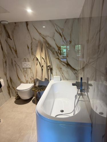 a bathroom with a bath tub and a toilet at Maison de l'olivier in Taradeau