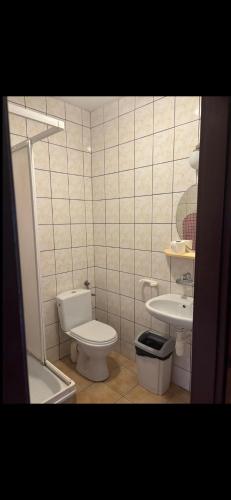 a bathroom with a toilet and a sink at Pokoje u podnóży Karkonoszy in Borowice