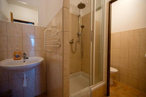 a bathroom with a shower and a sink at Apartmány Dřevařská Benecko in Benecko