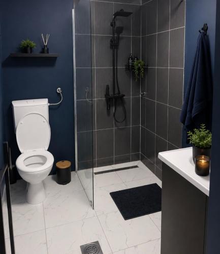 a bathroom with a shower with a toilet and a sink at Villa Pantheon Mostar in Blagaj