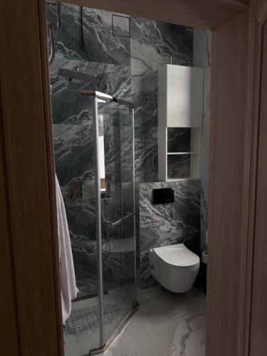 a bathroom with a glass shower with a toilet at Гимба in Podobovets