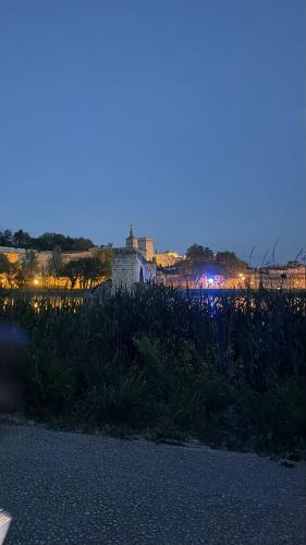 Festival d'Avignon