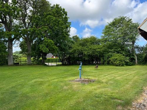 a blue pole in the middle of a grass field at Haqvins stuga in Förslöv