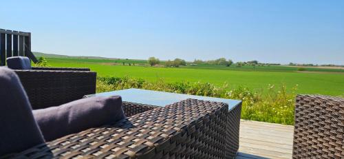 a patio with a table and chairs and a field at 2 Bedroom Cottage With Spa Accommodations in Glemmingebro