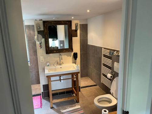 a bathroom with a sink and a toilet at labalade chambre pelerin in Marsac