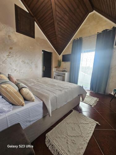 a bedroom with a bed with pillows on it at Mera Holiday Inn in Albeştii Pămînteni