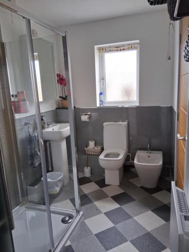 a bathroom with a toilet and a sink at Secret Bungalow in Warsop