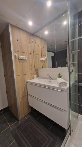 Beau duplex CAP CAMARGUE piscine 4 pers terrasse et parking dans résidence sécurisée