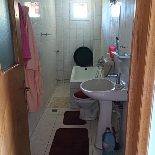 a small bathroom with a toilet and a sink at Refugiul din Cozieni in Cozieni