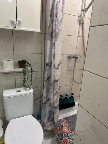 a bathroom with a toilet and a shower with a plant at Studio between two stations in Šiauliai
