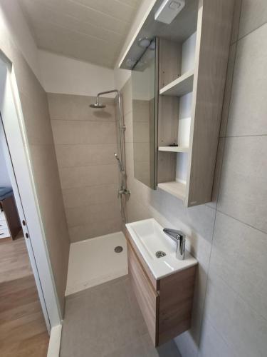a bathroom with a sink and a shower at Apartments Marijana in Zavalatica