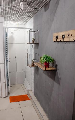 a bathroom with a shower and two shelves with plants at Soul Hostel Av Paulista Bela Vista 1 in São Paulo