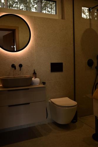 a bathroom with a sink and a toilet and a mirror at Szept Lasu in Żabiczyn