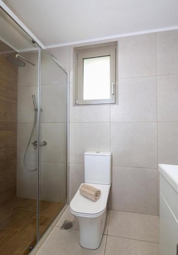 a bathroom with a toilet and a shower and a window at Galanthus Apartment 2 in Chania