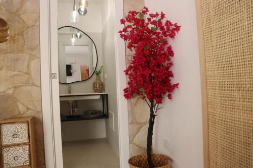 a vase with a red flower in a hallway at Residència Mediterrània Alguer in Alghero