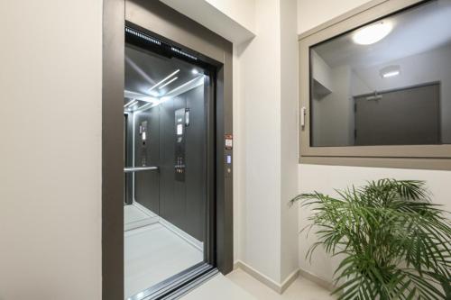 Galanthus Loft 4