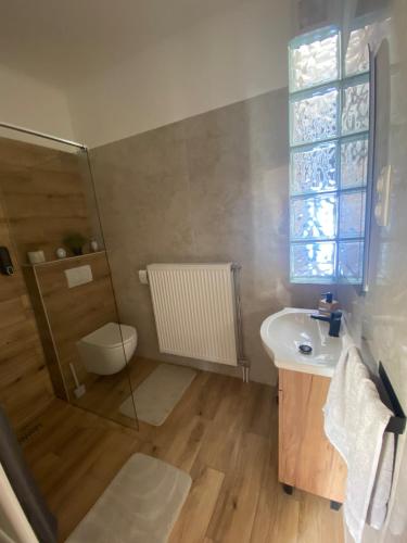 a bathroom with a sink and a shower and a toilet at Andalics apartment in Kaposvár