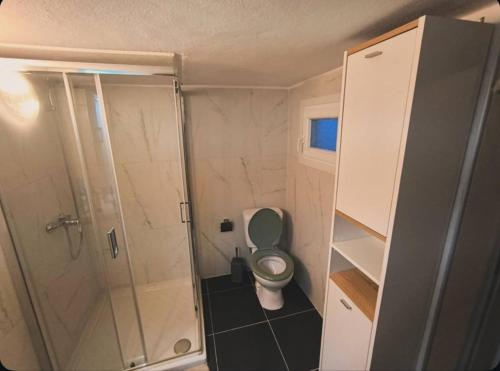 a small bathroom with a toilet and a shower at Greek Hacienda in Nea Kallikrateia