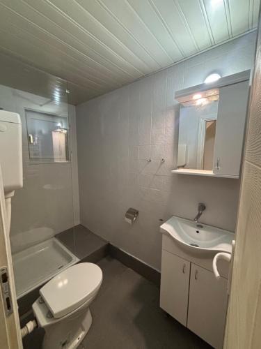 a bathroom with a white toilet and a sink at Iskra DDUR in Gornji Milanovac