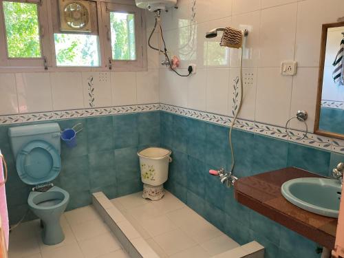 a bathroom with a toilet and a sink at Bunk Home stay in Srinagar
