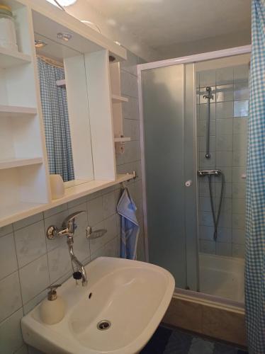 a bathroom with a sink and a shower at Chalupa Na Křemence in Třinec