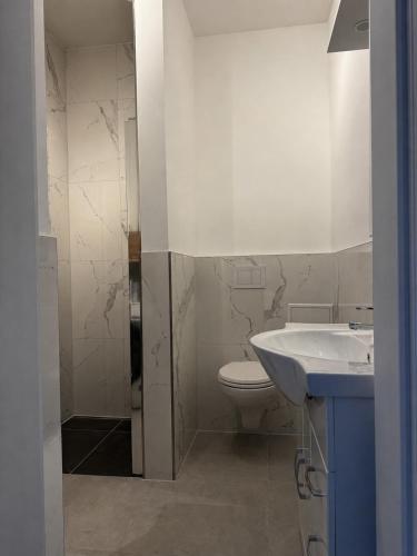 a bathroom with a white toilet and a sink at Gemütliche Wohnung mit Terrasse im Grünen in Bienenbüttel