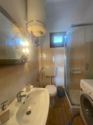 a bathroom with a sink and a toilet and a shower at Ariana's apartment in Orfánion