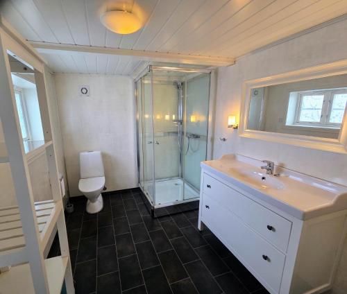 a bathroom with a shower and a sink and a toilet at Fiskehuset Havnes in Averoy
